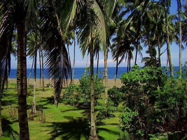 Somewhere Else Boutique Resort Мамбахао Номер фото